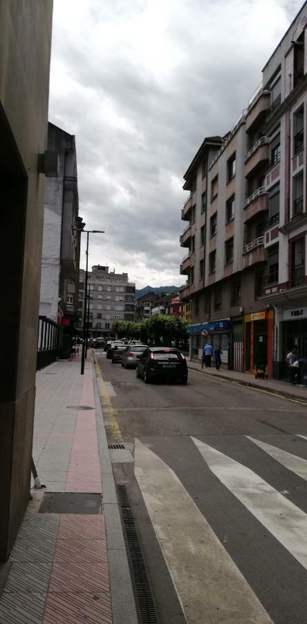 Apartamento El Manantial Apartment Pola de Lena Bagian luar foto