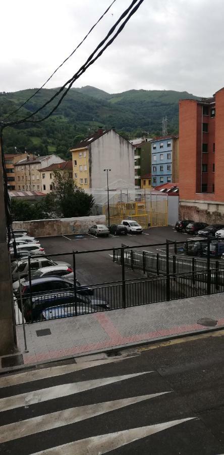 Apartamento El Manantial Apartment Pola de Lena Bagian luar foto